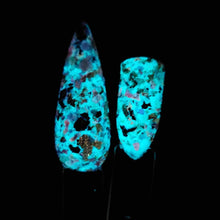 Load image into Gallery viewer, Conceal Don’t Feel