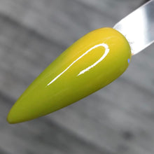 Load image into Gallery viewer, Pistachio Macaroon