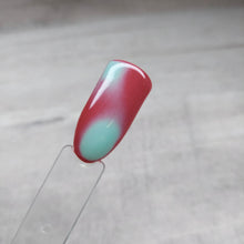 Load image into Gallery viewer, Everything But Ordinary