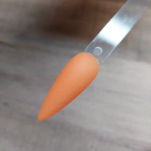 Load image into Gallery viewer, The Morning Sun