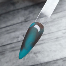 Load image into Gallery viewer, Not My First Rodeo