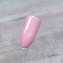 Load image into Gallery viewer, Blush