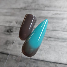 Load image into Gallery viewer, Not My First Rodeo