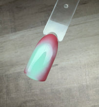 Load image into Gallery viewer, Everything But Ordinary