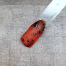 Load image into Gallery viewer, Tortoise