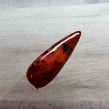 Load image into Gallery viewer, Tortoise