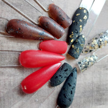 Load image into Gallery viewer, Tortoise