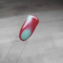 Load image into Gallery viewer, Everything But Ordinary