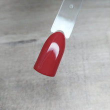 Load image into Gallery viewer, Everything But Ordinary