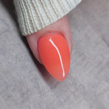 Load image into Gallery viewer, Work Hard, Play Harder