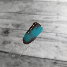 Load image into Gallery viewer, Not My First Rodeo