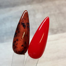 Load image into Gallery viewer, Tortoise