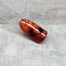 Load image into Gallery viewer, Tortoise