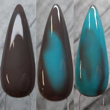 Load image into Gallery viewer, Not My First Rodeo