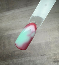 Load image into Gallery viewer, Everything But Ordinary