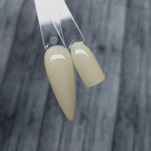 Load image into Gallery viewer, Old Money