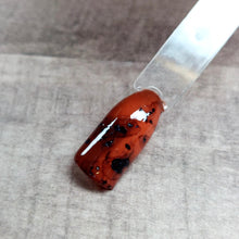 Load image into Gallery viewer, Tortoise