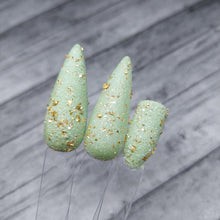 Load image into Gallery viewer, Fairy Castle Cactus