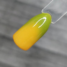 Load image into Gallery viewer, Pistachio Macaroon