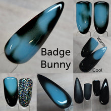 Load image into Gallery viewer, Badge Bunny