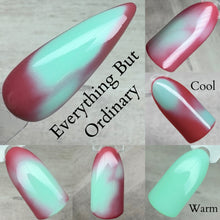 Load image into Gallery viewer, Everything But Ordinary