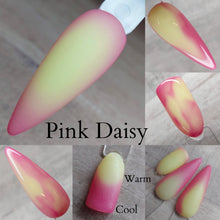 Load image into Gallery viewer, Pink Daisy