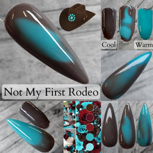 Load image into Gallery viewer, Not My First Rodeo