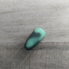 Load image into Gallery viewer, Undercover Mint Lover
