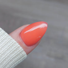 Load image into Gallery viewer, Work Hard, Play Harder
