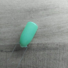 Load image into Gallery viewer, Undercover Mint Lover
