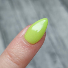 Load image into Gallery viewer, Lime Rita
