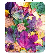 Load image into Gallery viewer, Taste Of Fall
