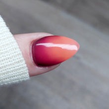 Load image into Gallery viewer, Work Hard, Play Harder
