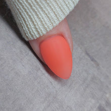 Load image into Gallery viewer, Work Hard, Play Harder
