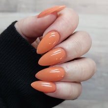 Load image into Gallery viewer, Misery Loves Company
