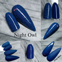 Load image into Gallery viewer, Night Owl
