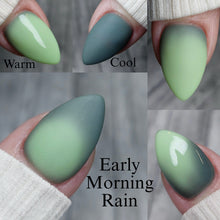 Load image into Gallery viewer, Early Morning Rain
