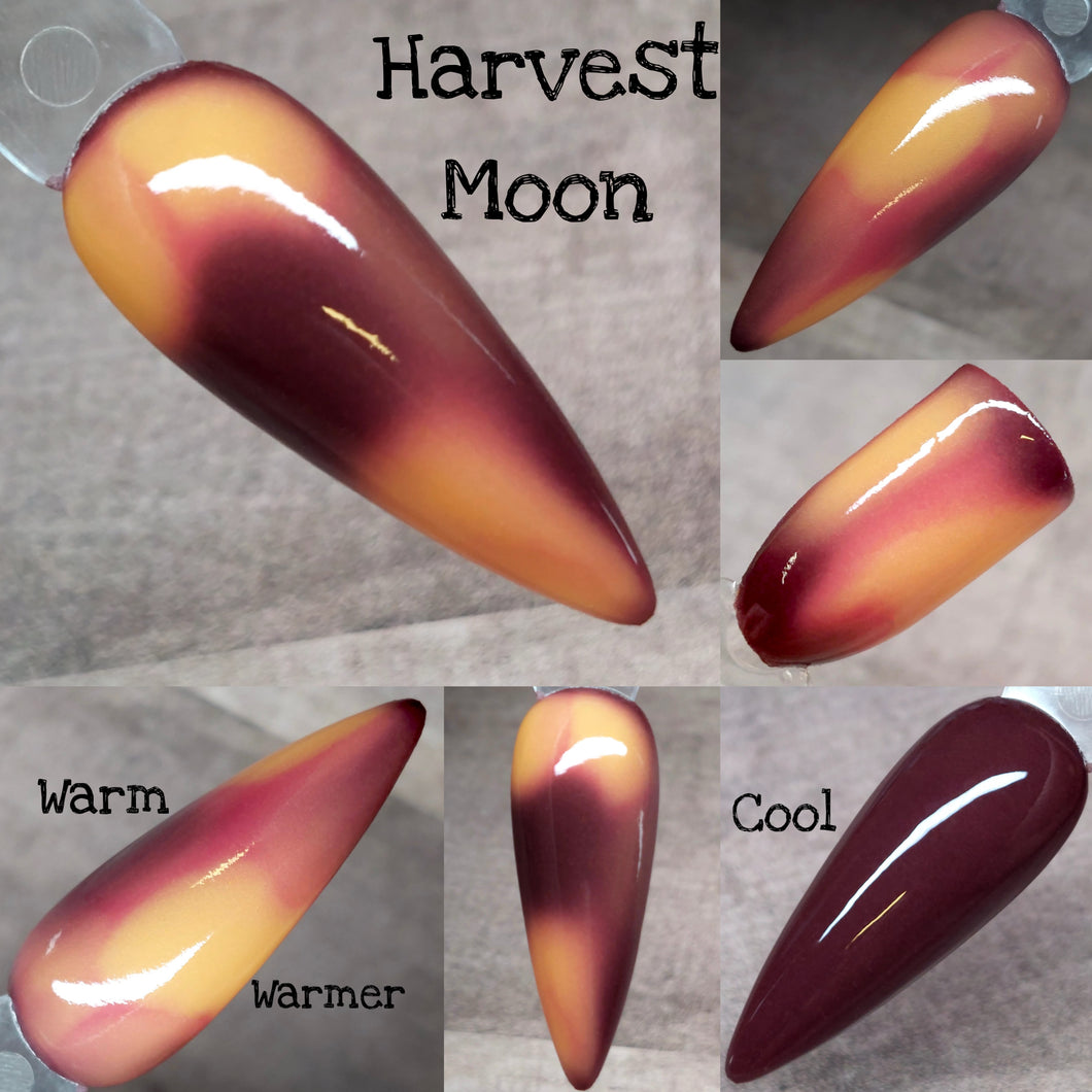 Harvest Moon