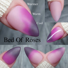 Load image into Gallery viewer, Bed Of Roses
