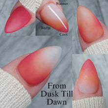 Load image into Gallery viewer, From Dusk Till Dawn
