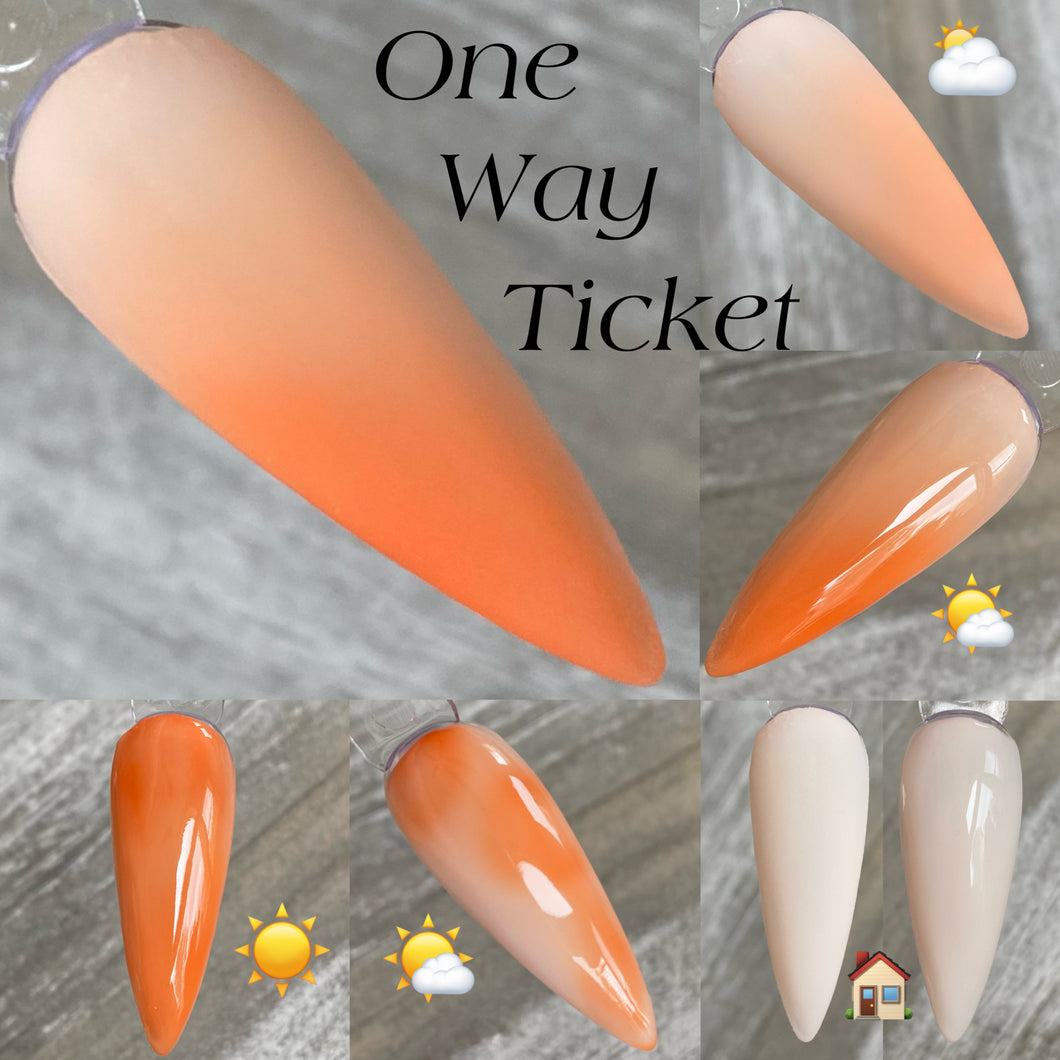 One Way Ticket