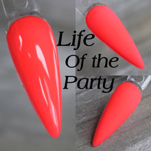 Load image into Gallery viewer, Life of the Party
